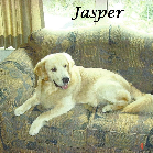 Jasper Ducar 2015